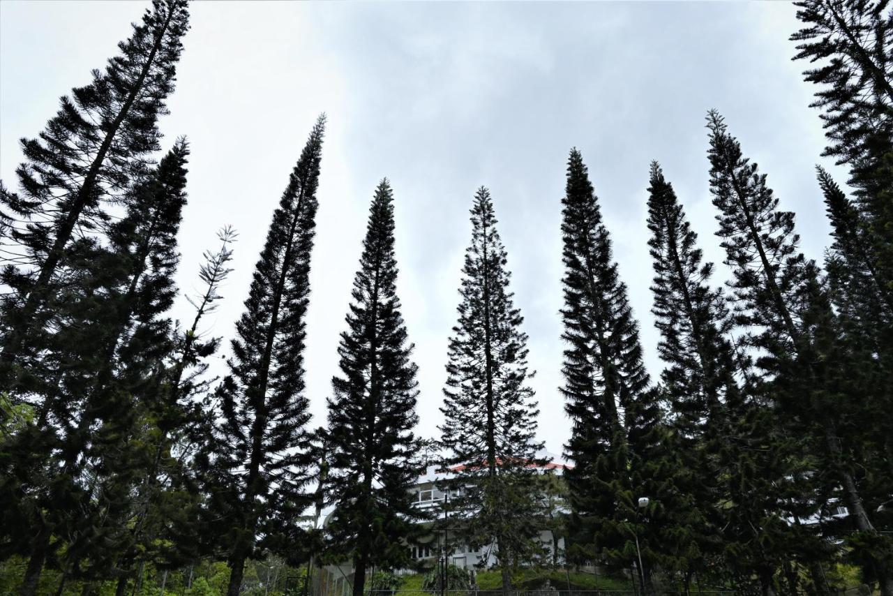 The Pines At Fraser'S Hill, Malaysia Fraser Hill Ngoại thất bức ảnh
